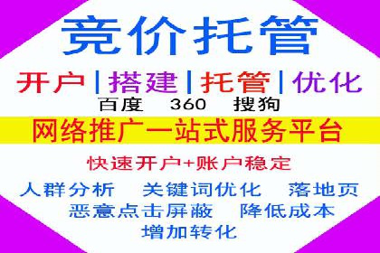 百度广告投放策略：成功案例解析